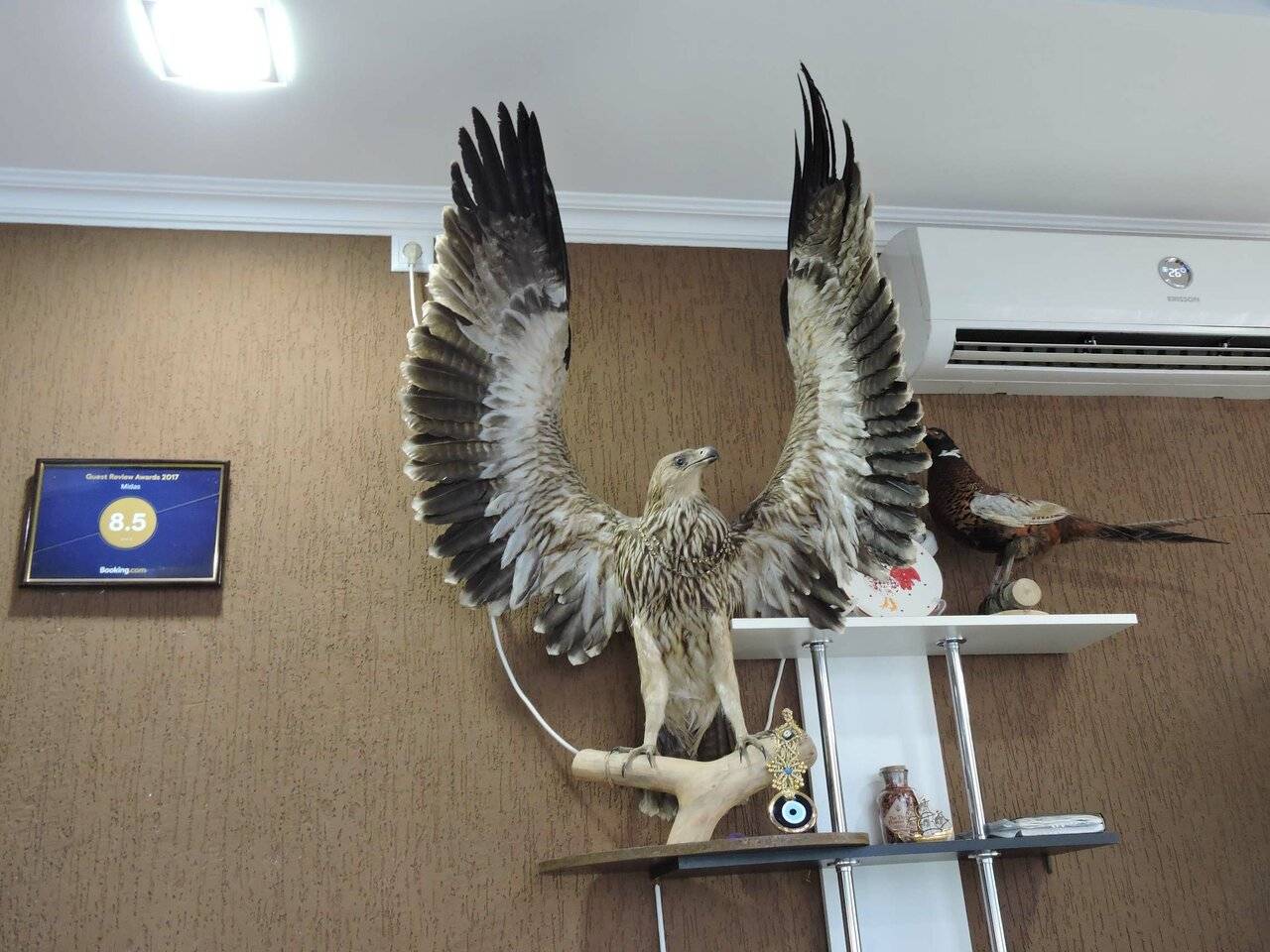 Фото Гостиницы Мидас Керчь 67